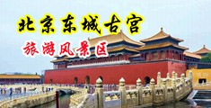 插屄视频免费在线观看中国北京-东城古宫旅游风景区